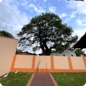 Frame 427320798